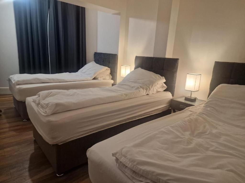 Central Suite, 3 Single Beds Bristol Buitenkant foto